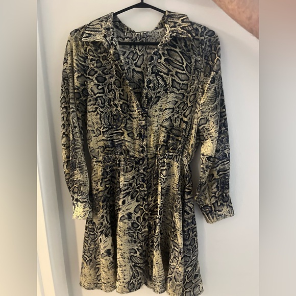 zara mini button up dress - Picture 1 of 3